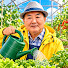 LOSmYoDw7BA-channel-avatar-野菜づくりの基本藤田智