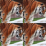 thumbnail img1x1