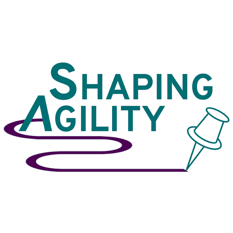 Shaping Agility