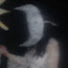 4D4AccihOZs-channel-avatar-Nurmoon