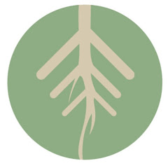 ごぼうの党【公式】アイコン画像