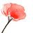 @Jean_Joo