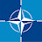 NATO Defence Expert