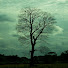 KNCGJAp-YH0-channel-avatar-Oriole
