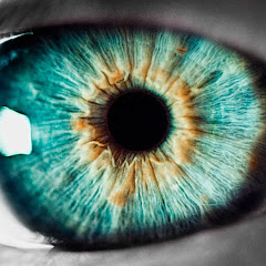 世界のグレーゾーン