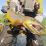 Zt1UntYJKvg-channel-avatar-HARO FAUNA PESCA A MOSCA - HF FLY 