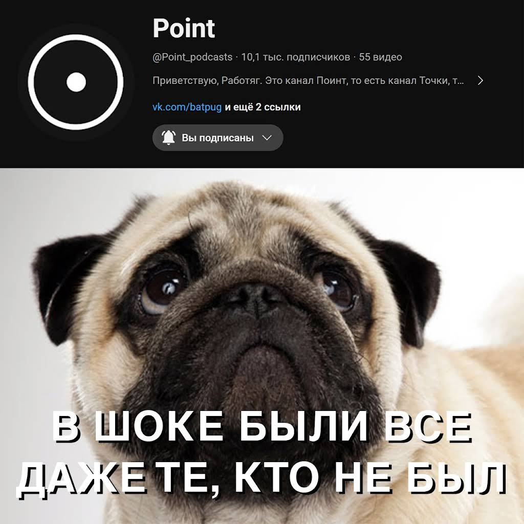 рентген собаки порно 