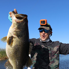 Everglades Carlos