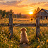 cnXo_z23uAU-channel-avatar-Harvest Meadow