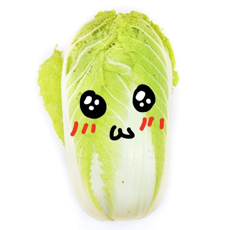 大白菜惠惠