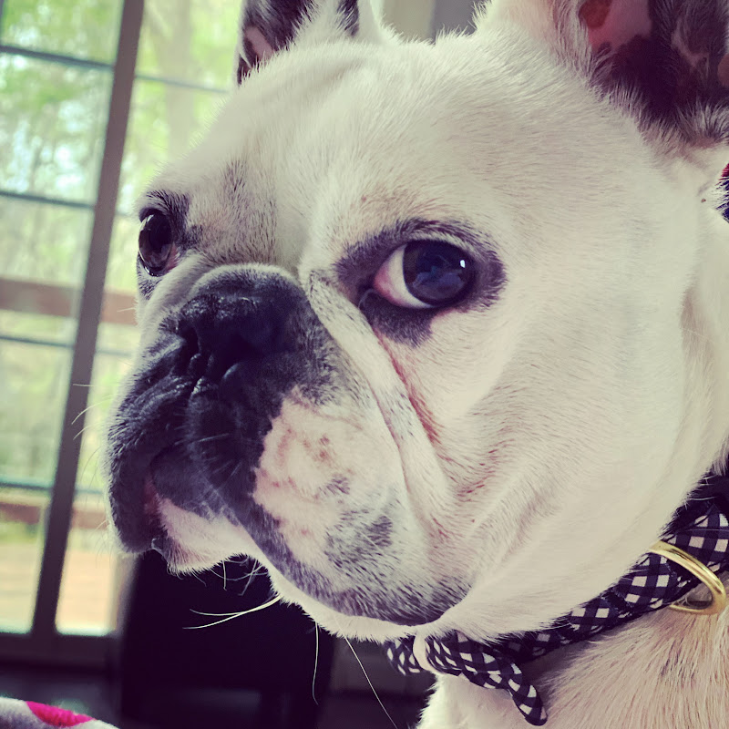 Sir Winston from Winston Salem