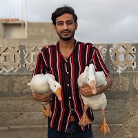 Waqar mini zoo . 837k views. 3hours ago ... profile image
