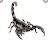 @shahatey's avatar