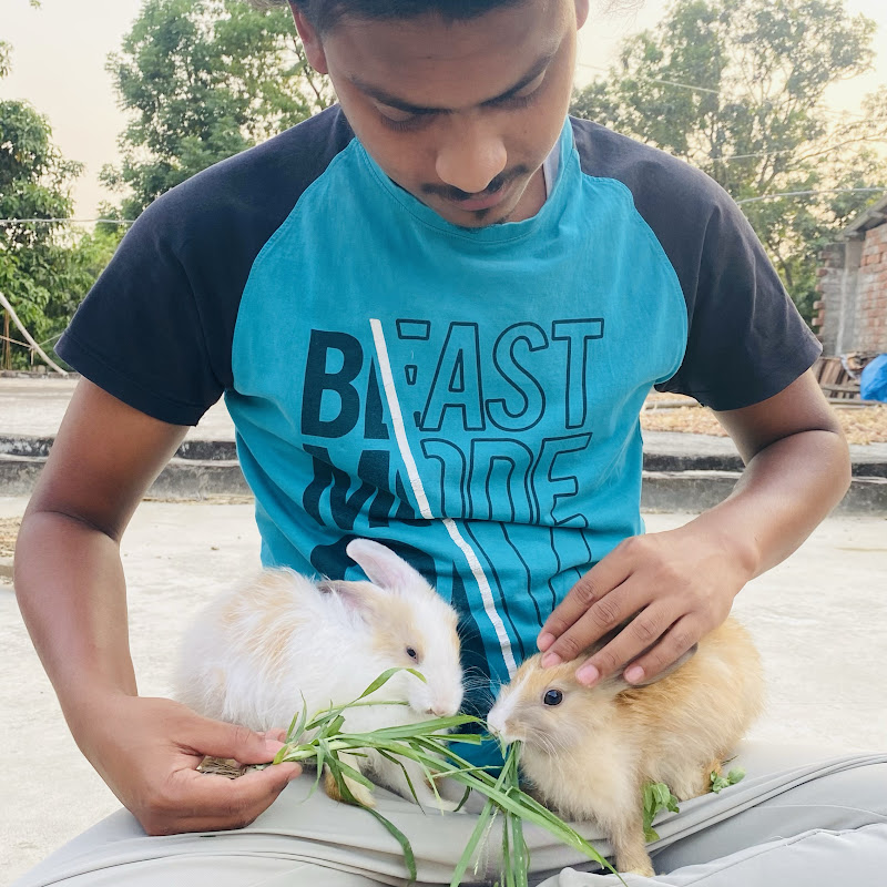 Loading The Hobbiest