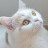 @천사버스