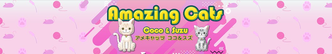 Amazing Cats Coco&Suzu Avatar canale YouTube 
