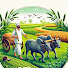 UsnUL2D065o-channel-avatar-National farmer