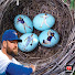 Ns3eQcsOMkY-channel-avatar-The Jays Nest