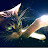 @meow-sama3564