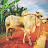 @Vinay-z4p Avatar