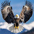 @Tribaldog848 Avatar