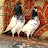 ABHAY PIGEON CLUB 42 