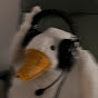 cxdricMusic Avatar