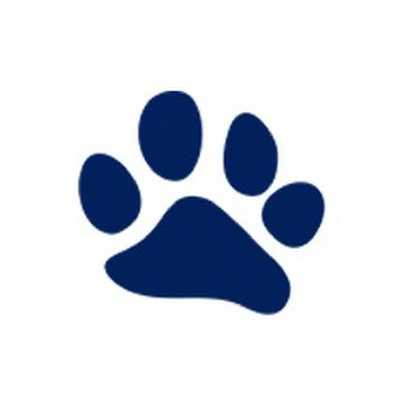 leopardcatamaransbrokerage