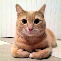 gazxy