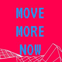 MOVE MORE NOW. net worth