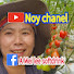grCPcH9jRJs-channel-avatar-Noy chanel