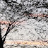 gOedKLMNV0I-channel-avatar-wojtas1290