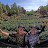 Mendo Dope