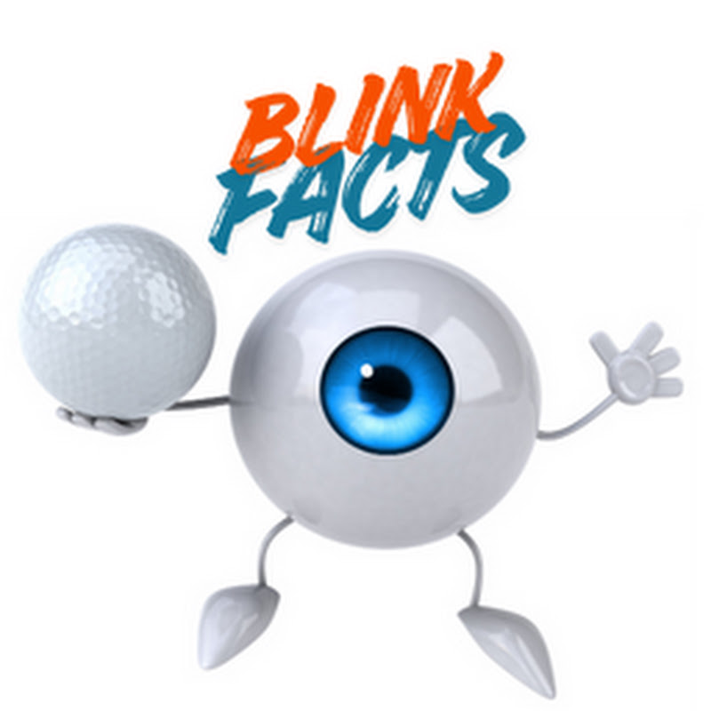 Blink Facts