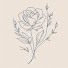 -wnxRRrmtl8-channel-avatar-Rose Renovations