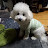 @태양-v9f-j5z