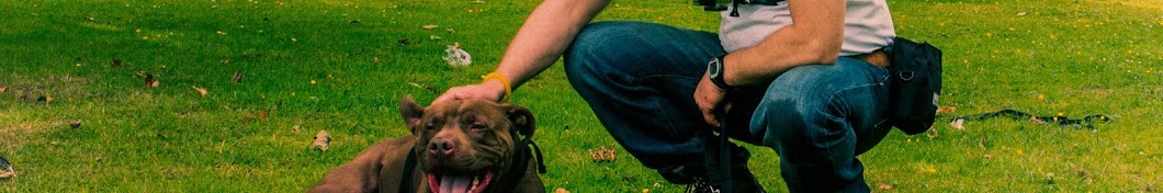 Glasgow Dog Trainer ইউটিউব চ্যানেল অ্যাভাটার