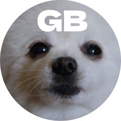 GB DOG
