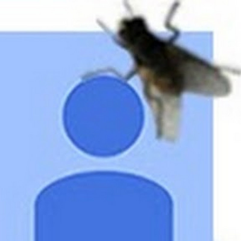 WarGack icon