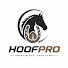 5VVMSTwx5Ho-channel-avatar-HoofPro