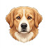 d2-neB4H0FQ-channel-avatar-Dogunee