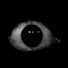 W8OpspTQvKc-channel-avatar-PeaBee76