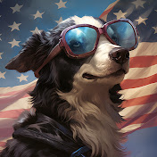 Doggo USA Vision