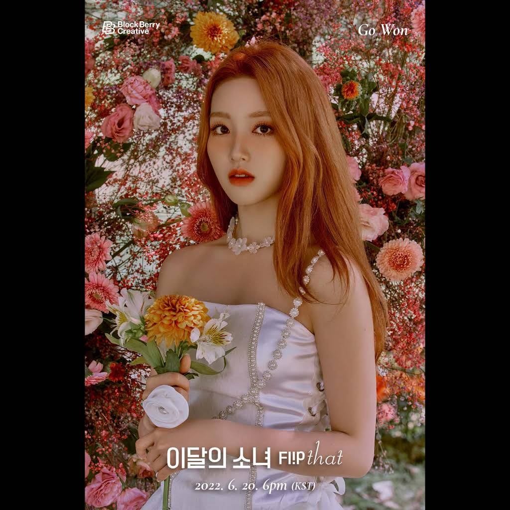 BC1iDh8RTzPpDbtWkBs-hh9LeDDeMuB9s28jVOU16OStUwrOud0zPdRfB_sr9LmOKiDTH5h0XG04yQ=s1024-c-fcrop64=1,00000000ffffffff-nd-v1