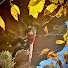 ZAeNwBb_WWI-channel-avatar-ClimbingForLife