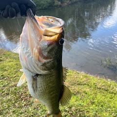 CJ The Fisherman