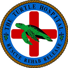 Turtle Hospital net worth