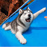 VjkkKEAYSxQ-channel-avatar-Fun With Dogs
