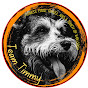 Team Timmy logo