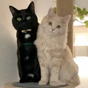 すずベルと僕